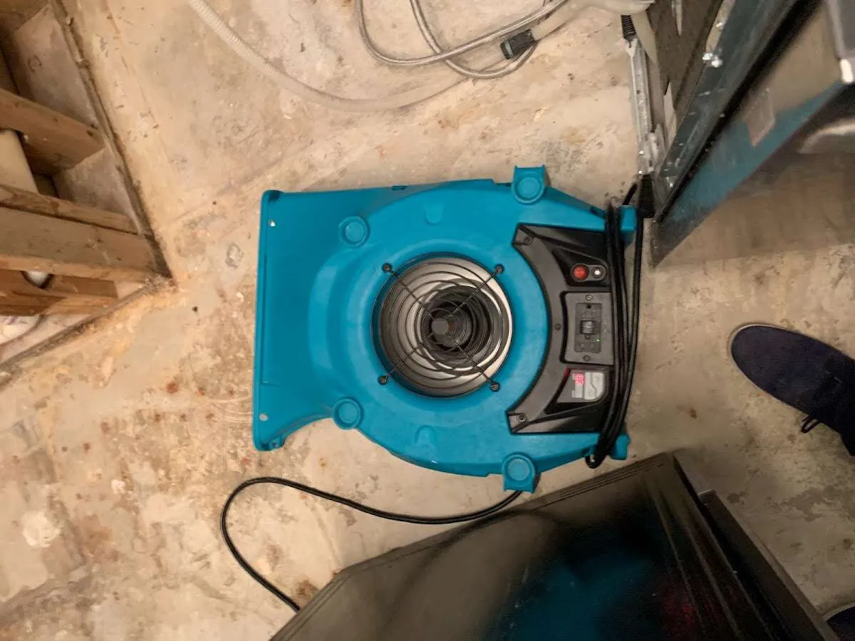 Air mover drying equipment for Mold Remediation & Removal in Laguna Woods